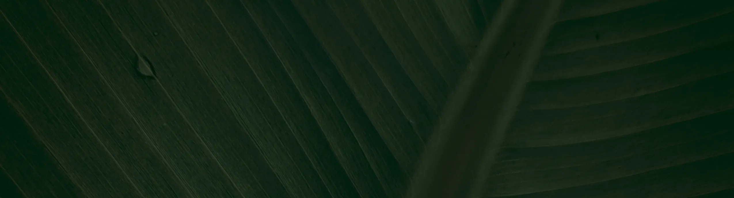 hero-image_optimized براند كاب 42 كبسولة